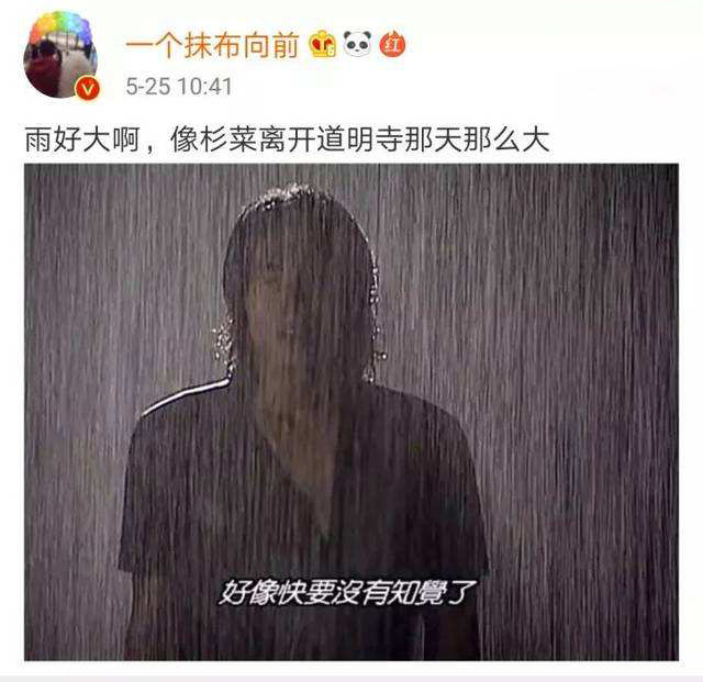 《雨好大啊》是什么梗