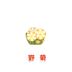 《阴阳师：妖怪屋》家具图鉴——野菊