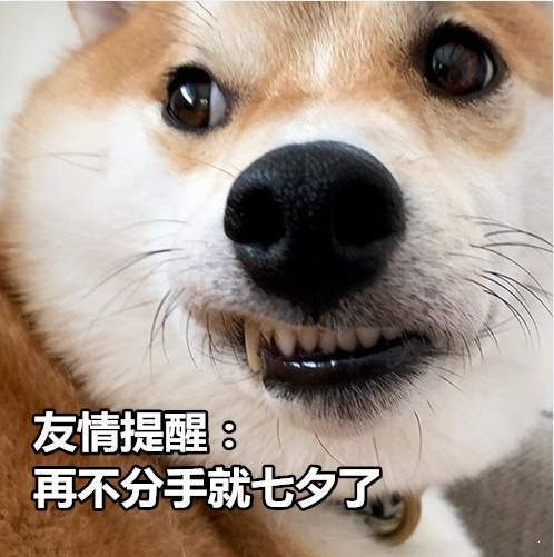 《网络用语》2020七夕节单身狗表情包分享