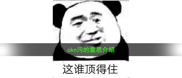 ckn污的意思介绍