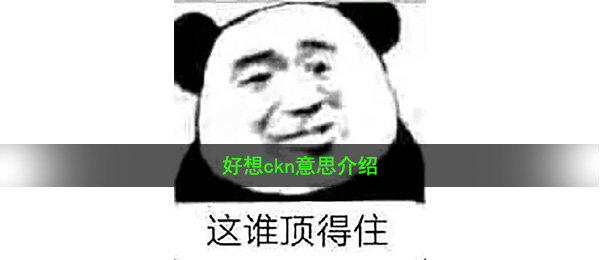 好想ckn意思介绍