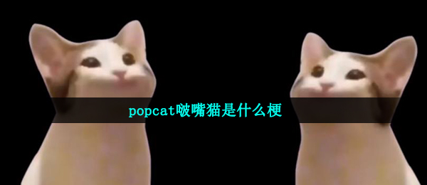 popcat啵嘴猫梗的意思介绍