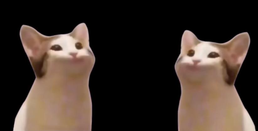 popcat啵嘴猫GIF表情包大全