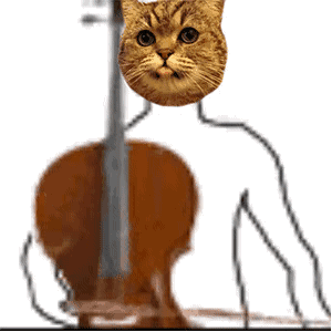 《抖音》猫咪弹奏乐器表情包分享