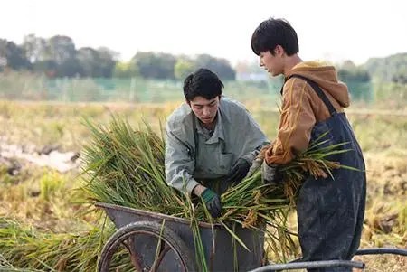 圈圈杂谈：十个糊咖在一起种地为什么会逆风翻盘，是烂牌打出王炸效果？