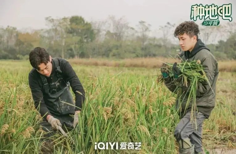 圈圈杂谈：十个糊咖在一起种地为什么会逆风翻盘，是烂牌打出王炸效果？