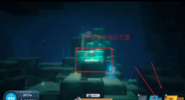 《潜水员戴夫》第二章全主线攻略流程