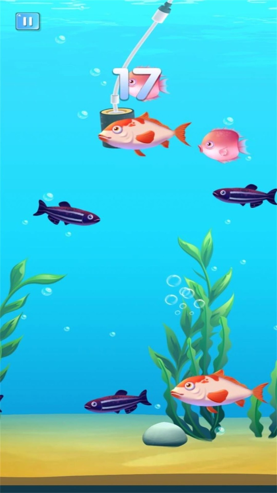 小鱼的吞食逆袭免费在线玩手游下载