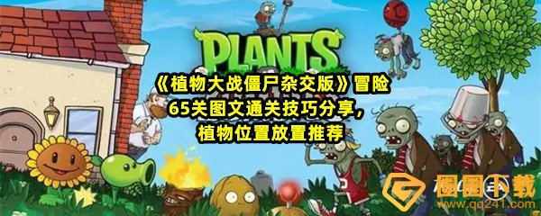 《植物大战僵尸杂交版》冒险65关图文通关技巧分享，植物位置放置推荐