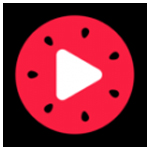 西瓜视频下载免费安装-西瓜视频安卓版下载v3.8.6