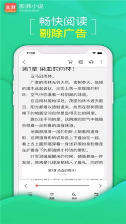 澎湃小说软件下载