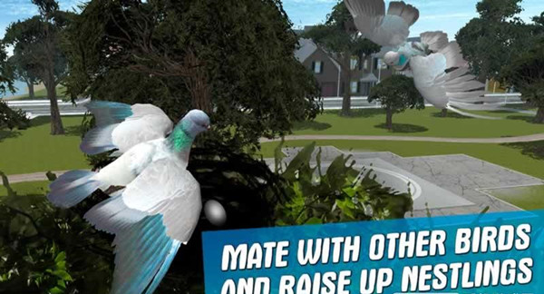 城市之鸽模拟3D手游下载