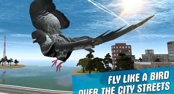 城市之鸽模拟3D手游下载