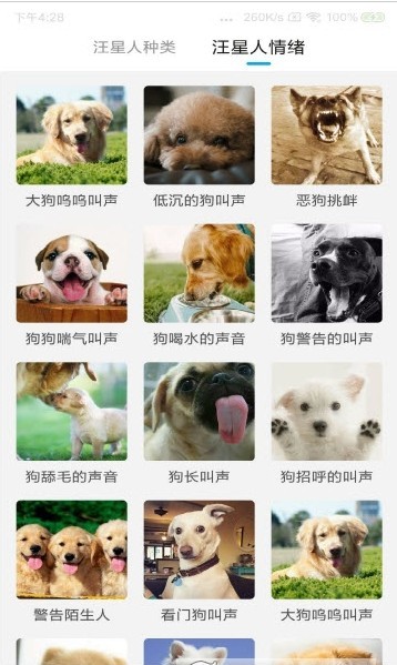 猫狗动物翻译器软件下载