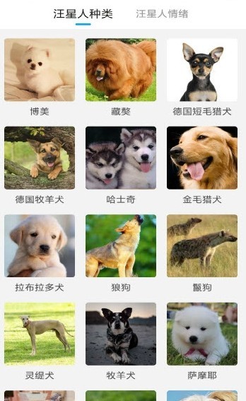 猫狗动物翻译器软件下载