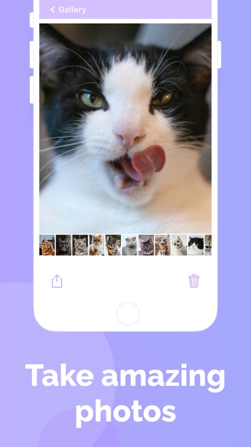 Cat's Cam软件下载