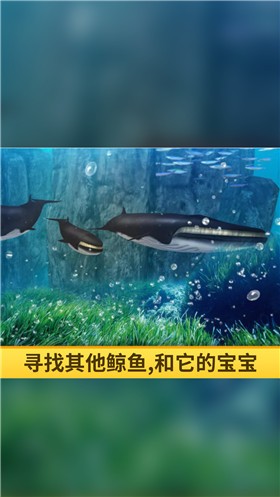 海洋3d蓝鲸模拟手游下载