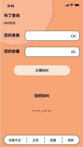布丁流量软件下载