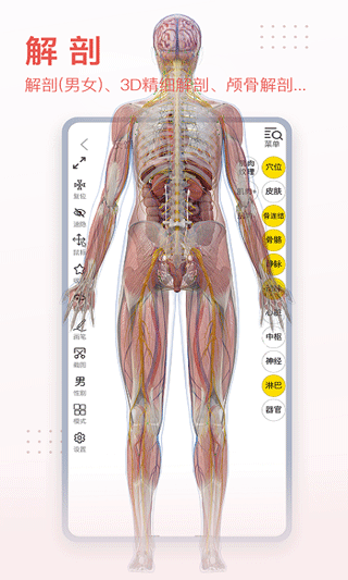 3DBODY解剖软件下载