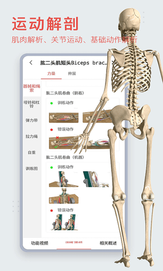 3DBODY解剖软件下载