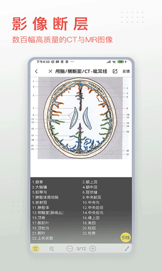 3DBODY解剖软件下载