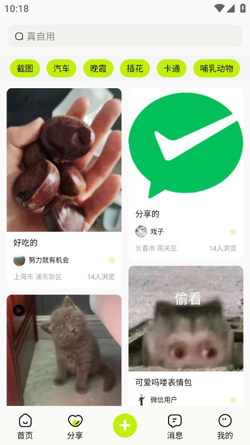 真自用软件下载