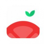 番茄空间手机软件app