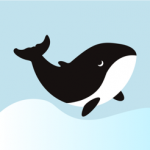 鲸心软件下载