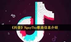 NgayTho歌曲信息介绍
