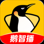 企鹅体育软件下载
