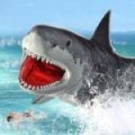鲨鱼的疯狂吞噬手游下载