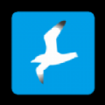 海鸥安全大师软件下载