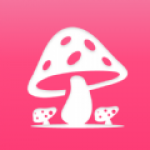 蘑菇赏软件下载