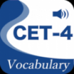 CET4精选词汇软件下载