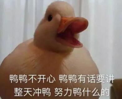 “duck不必”是什么梗？