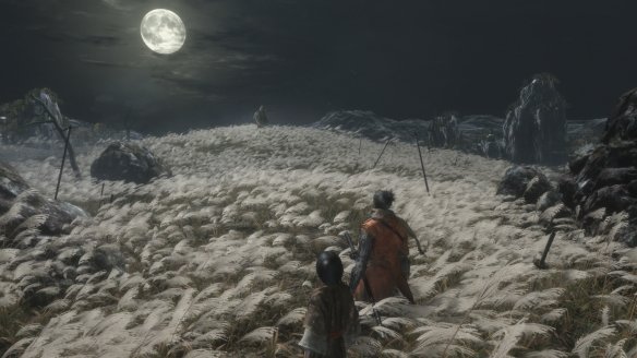 《只狼：影逝二度》游戏背景介绍