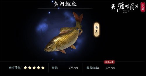 《天涯明月刀手游》黄河鲤鱼钓点位置介绍
