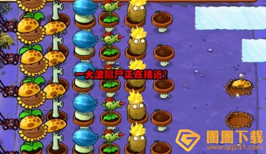 《植物大战僵尸杂交版》冒险10关植物放置方法，详细通关攻略