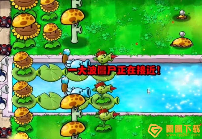 《植物大战僵尸杂交版》冒险12关植物放置方法，通关攻略