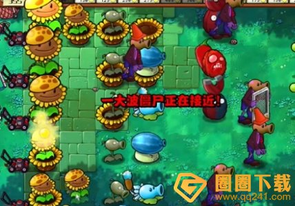 《植物大战僵尸杂交版》冒险39关无小车过关方法，关键的植物摆放位置